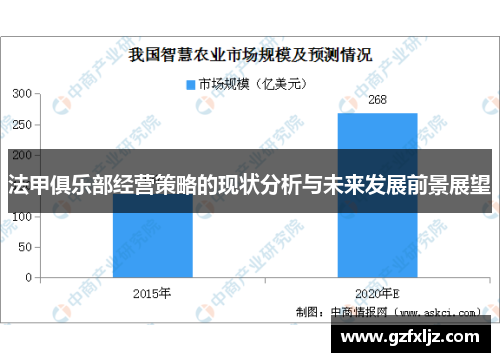 法甲俱乐部经营策略的现状分析与未来发展前景展望