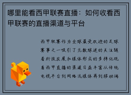 哪里能看西甲联赛直播：如何收看西甲联赛的直播渠道与平台