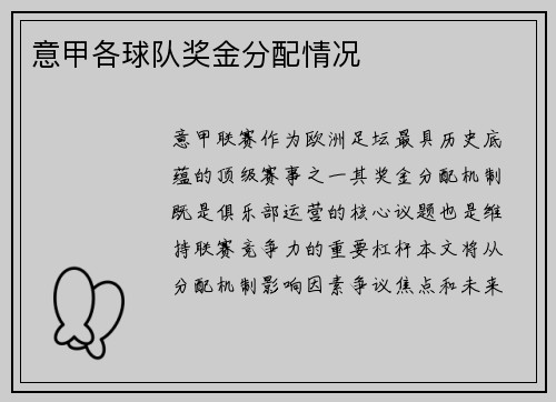 意甲各球队奖金分配情况