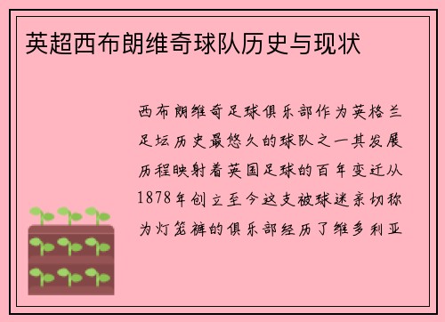 英超西布朗维奇球队历史与现状