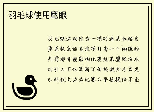 羽毛球使用鹰眼